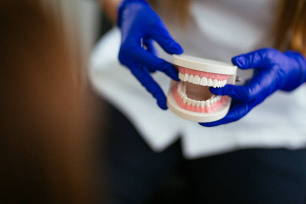Best Root Canal Treatment  in Fayetteville, WV